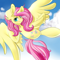 cocoa-bean-loves-fluttershy:Fluttershy by