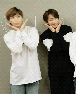 chaandeul:  playful puppies~