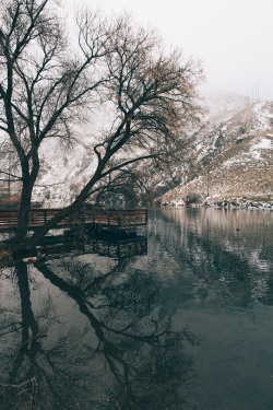 intoconsistency:  Afternoon walk in Logan, Utah.