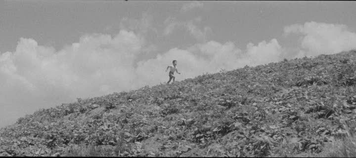 The Nihilistic Cinephile