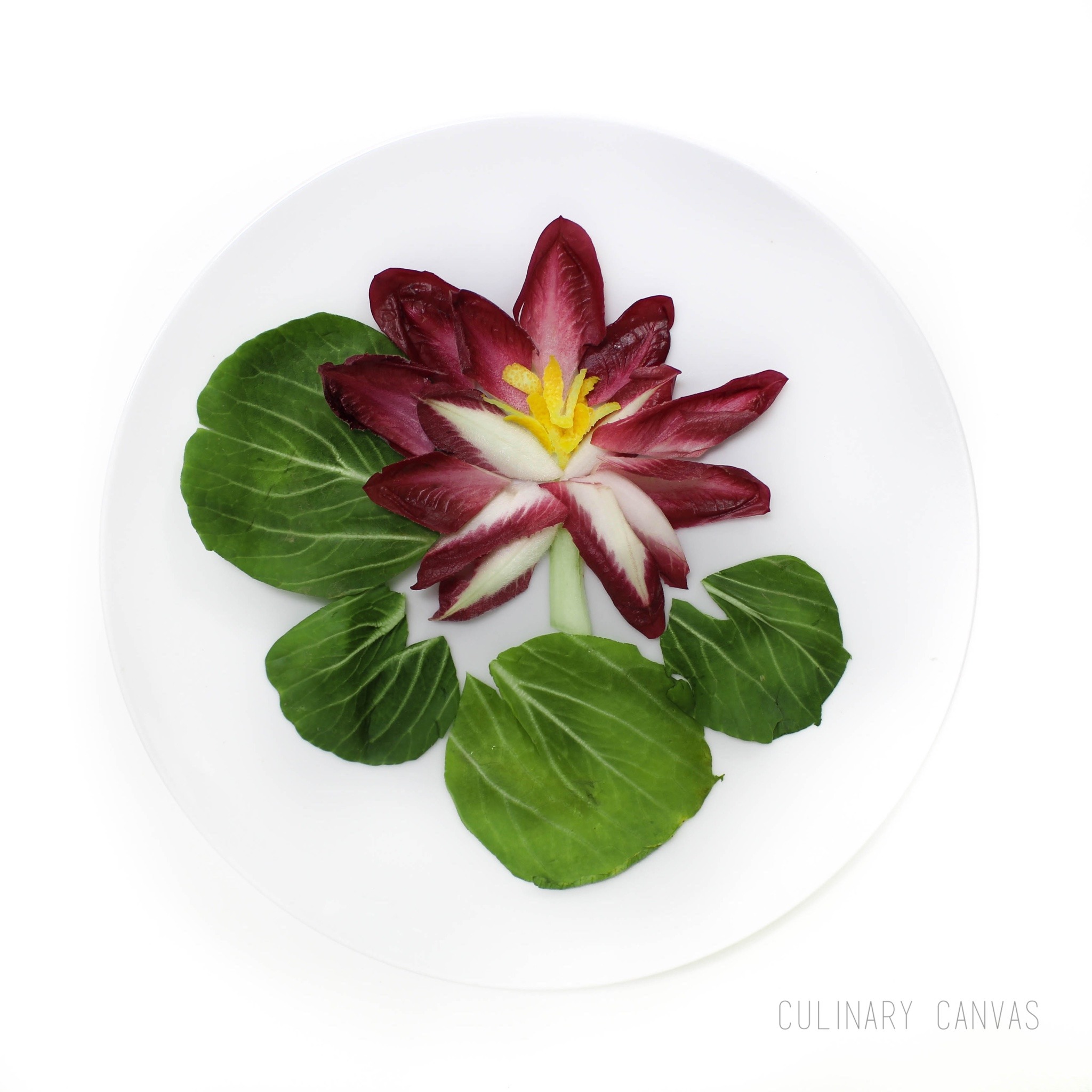 CULINARY CANVAS