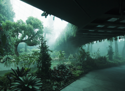 elayesildogan:  Cloud Forest, Singapore 