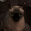 kirieshkatop