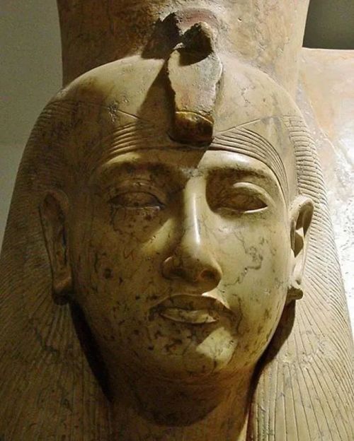 The Goddess Mut, wearing the Double Crown; on Her forehead, the Uraeus (wearing the Solar disk). Det