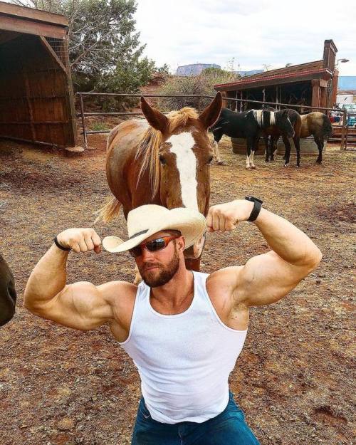 trianglealphadad: beardedgiants:  Trace trainer - trace.trainer Instagram - Part 4 Man’s man. 