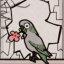 harveytheparrot