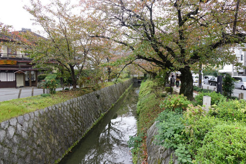 shinjjuku:哲学の道 てつがくのみち by Chun-Chih FAN