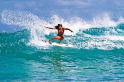 surfing-girls:  Surf GirlSurfing Girls Twitter