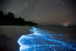 love:  Sea of Stars, Vaadhoo Island, Maldives by
