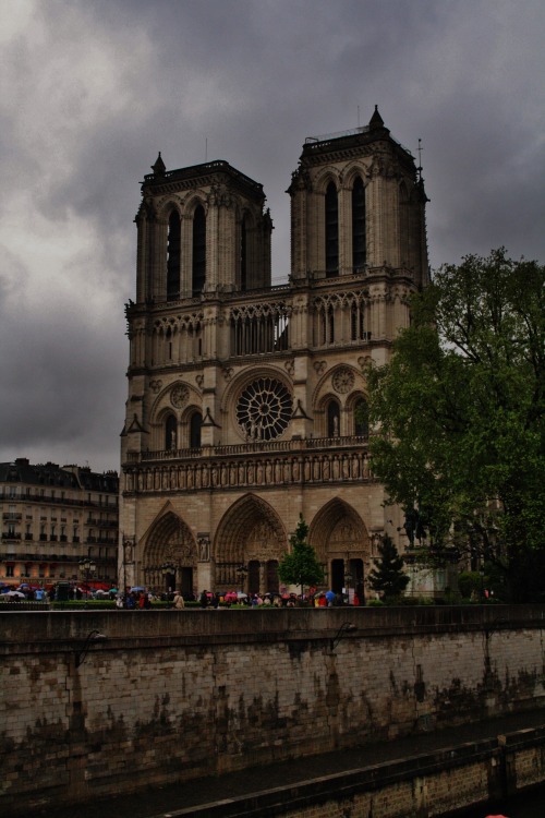 The Eiffel Tower And Notre Dame. Paris, France