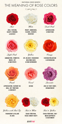 life-by-the-second:  Cheat Sheet. If you’re going to bring roses, make sure to bring the right color.