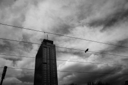 streetberlin:  street photography. berlin.  alexanderplatz 2016 © martin waltz 