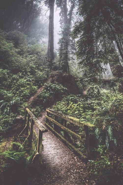 almightynature:More nature photos at http://almightynature.tumblr.comSource: Unknown