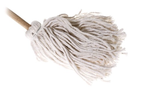 Mop is Komaeda, Komaeda is mop