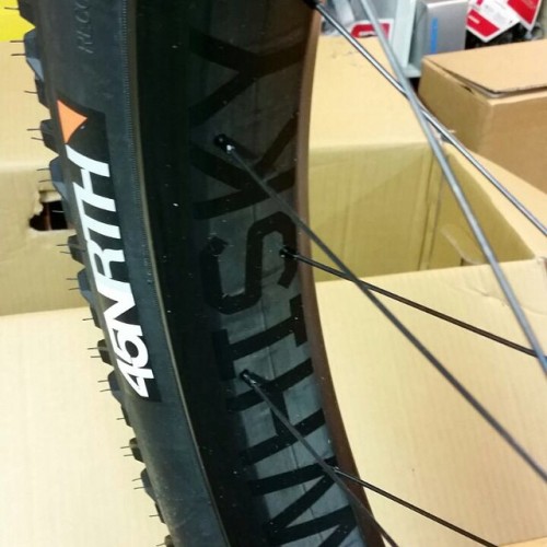 probike:  Salsa Beargrease K Carbon XX1 (presso Pro Bike Roma)