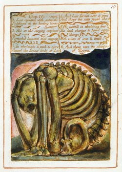 lucysskeleton: William Blake, Plate from
