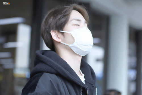  190406 | Gimpo Airport Arrival© HONEY CHICKEN | do not edit. 