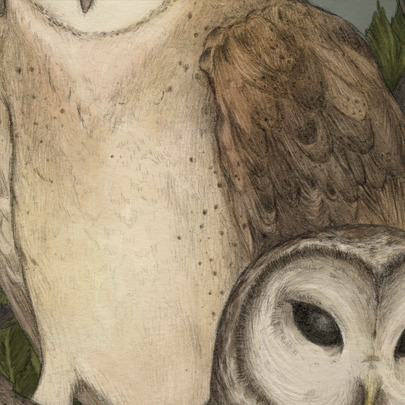 I drew these owls for my Illustration Portfolio class! It would potentially be used as a poster to a