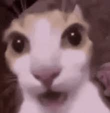 Tfw Your Friend Does A Screen Record W Your Voice In The Background And You Hear How Your Voice Has Changed