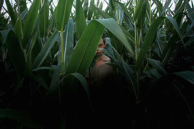 untrustyou:  Jan Durina