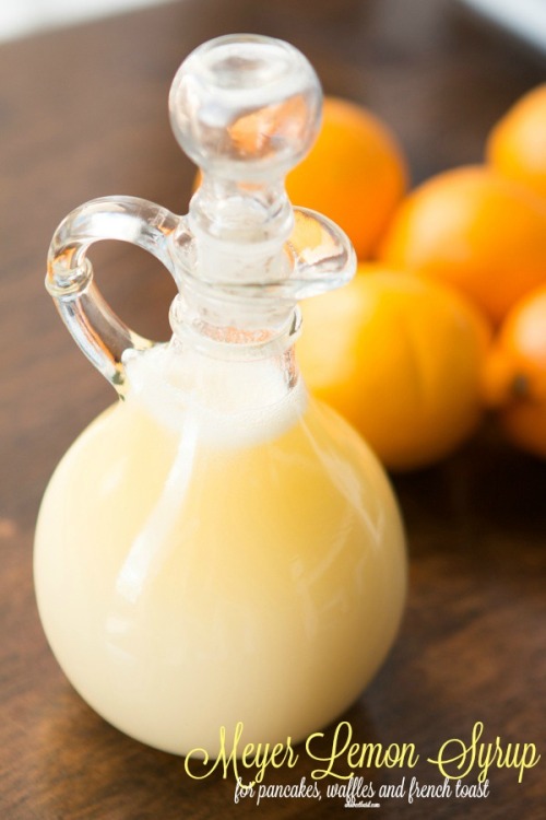 foodffs: Meyer Lemon Syrup Really nice recipes. Every hour. Show me what you cooked! 