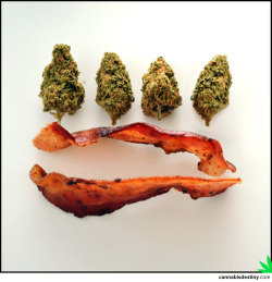 flourescent-enigma:  Bacon &amp; weed. ♡ 