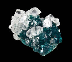 ifuckingloveminerals:  Calcite, DioptaseTsumeb