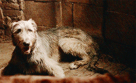 Top 20 Favourite Book-only Asoiaf Characters (as Voted By Our Followers) #19. Maege Mormont