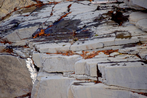 bogglebabbles:Texture