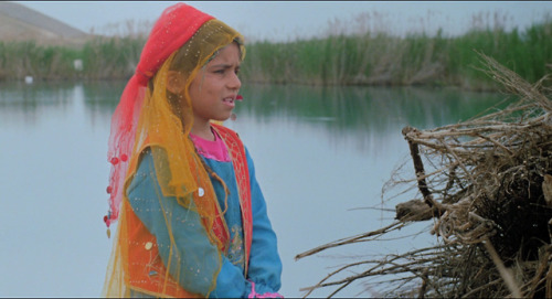 artfilmfan:Gabbeh (Mohsen Makhmalbaf, 1996)cinematography: Mahmoud Kalari