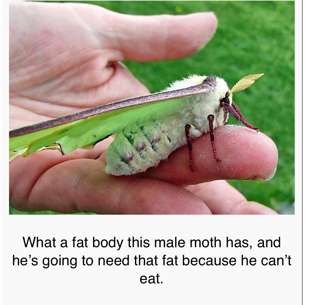 sweet-bitsy:    Why are they dissing him 