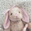 usaunny