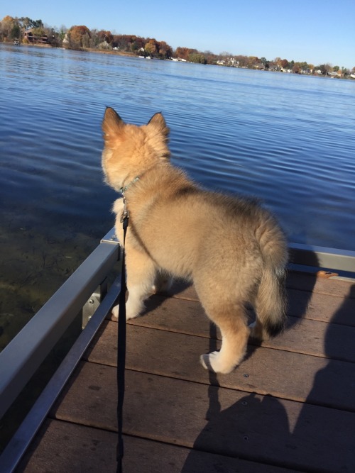 We went to the park yesterday! We hung out on the (kayak) docks and allowed people to approach us fo