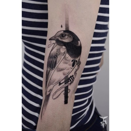 - pied wagtail - #ladytattooers #budapesttattoo #piedwagtail #ladytattooers #oneofakind #blacktattoo