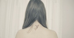 milk-neko:  Fawn tattoo on the nape of my