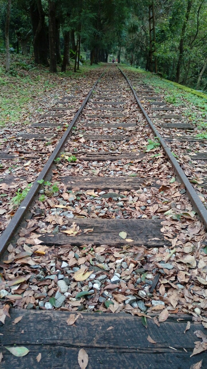 789train:  林田山，花蓮萬榮-Taiwan