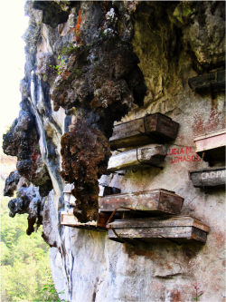 Mysterious Hanging Coffins of China. Wuyi