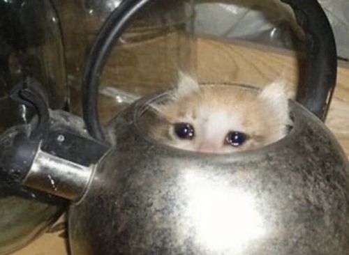 I Literally Cannot Believe That We Get To See More Aziraphale And Crowley In Like A Day. Unreal. I Might