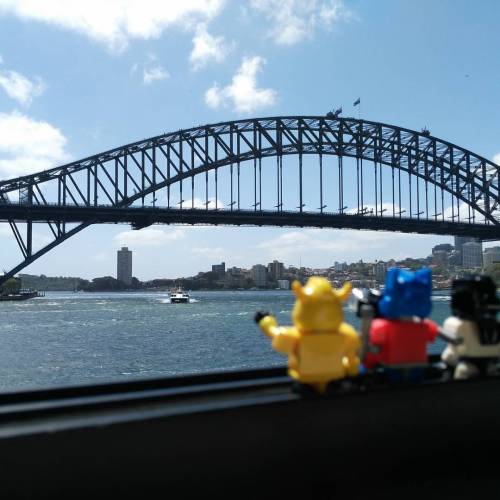 Bee: “That’s a huge ‘Coat Hanger’!”(at Sydney Harbour Bridge)