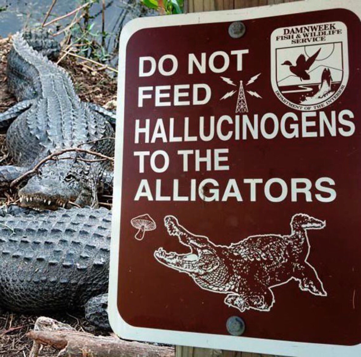 mistressaliceinbondageland: There must be a story behind this sign…  