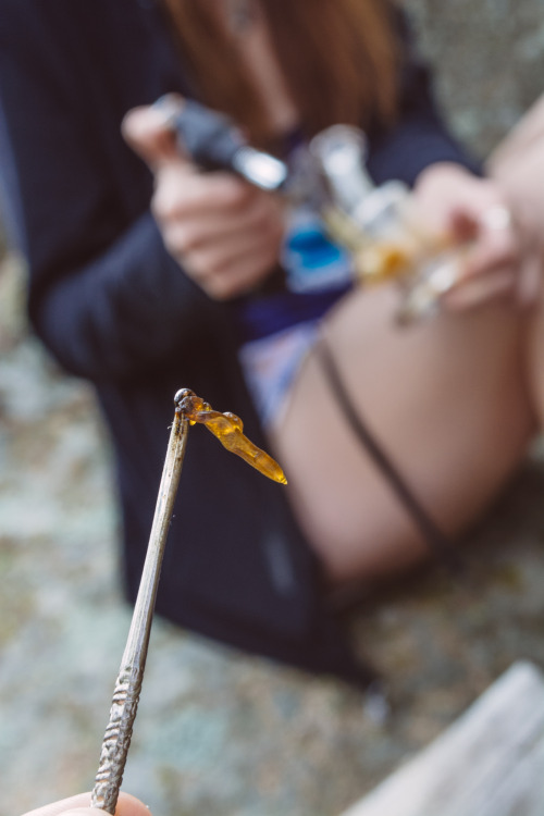 blazedcolorado:  dab of super silver haze