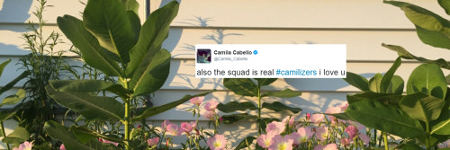 like or reblog.headers camila: @nopsdcabello