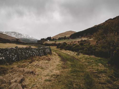 College Valley, Northumberland