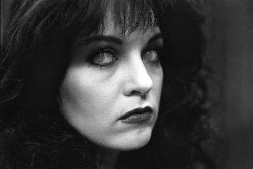 Behind The Scenes Of Twin Peaks, Taken By Richard Beymer, And Possibly Paula K Shimatsu
