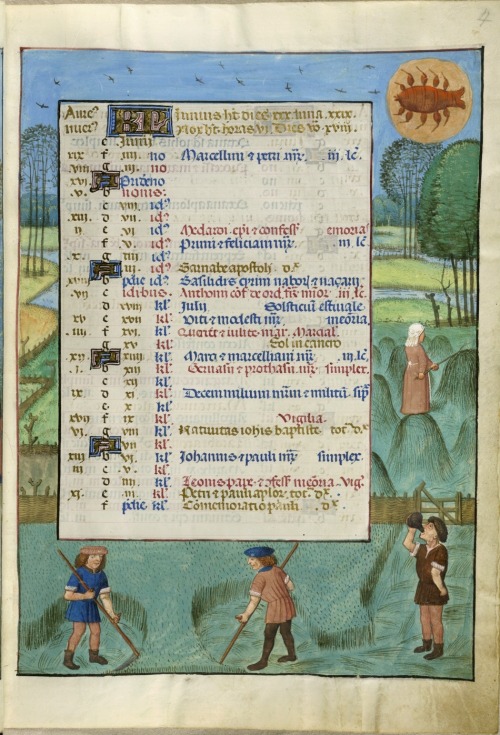 heaveninawildflower:Calendar page for June. Detail from Harley MS 4425, Roman de la Rose.brit