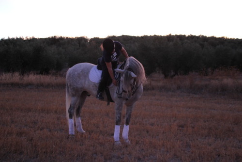 spanishequestrian: Death cannot take hold, if I can keep momentum.Fortresses of stone, turn into cry