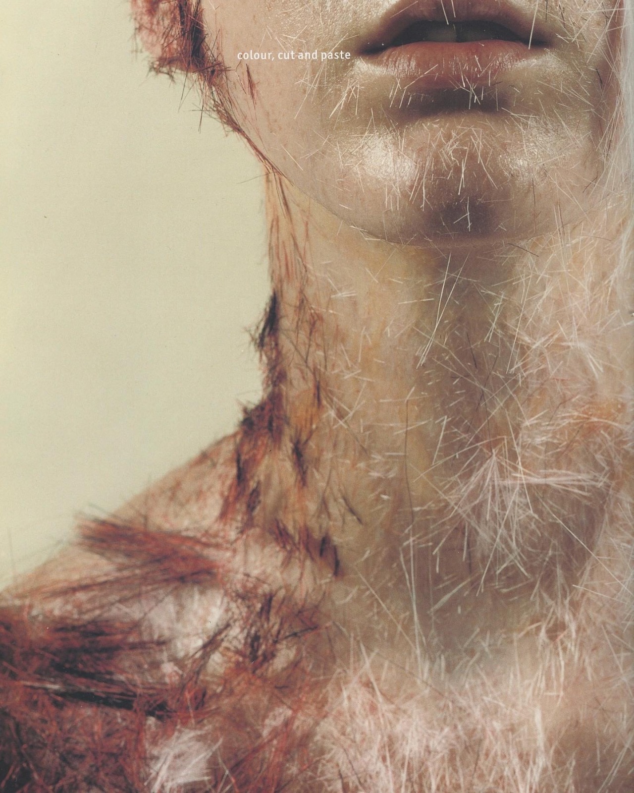 trashgirlmim:Scans from View on Colour 17