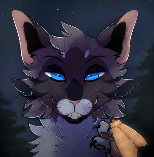 warriors cat stuff — cryptidclaw: Bluestar redesign! I made her