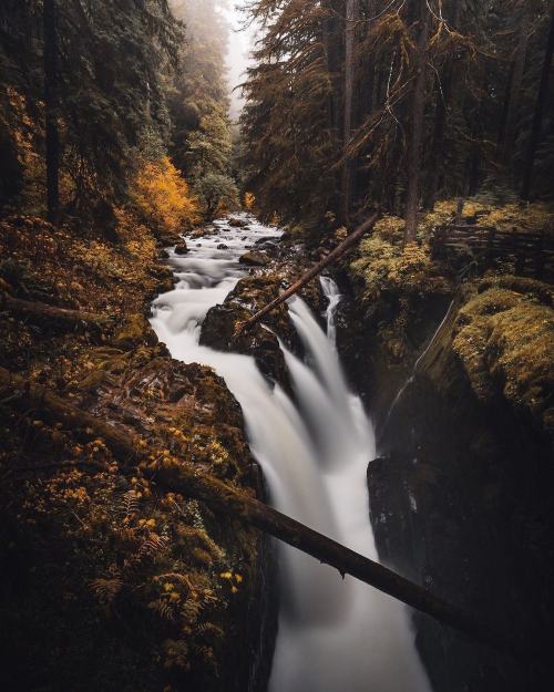 visitportangeles:  #SolDucFalls looks incredible this time of year. 🍁  📸 by @simongamboaphoto 🙌  #OlympicNationalPark #VisitPortAngeles https://instagr.am/p/CVWrouIltlH/