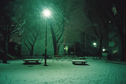 winterfellis:Snow in the park by P5000 on Flickr.